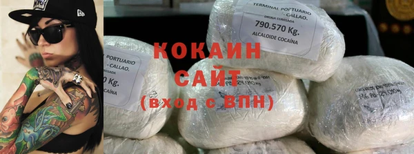 мдпв Няндома