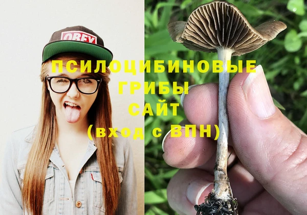спиды Нязепетровск