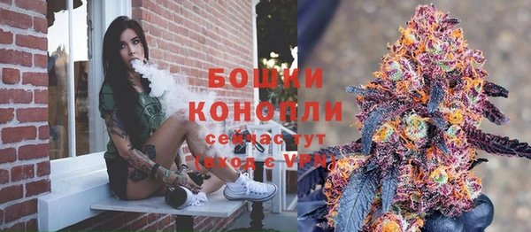 винт Нягань