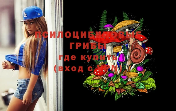 спиды Нязепетровск