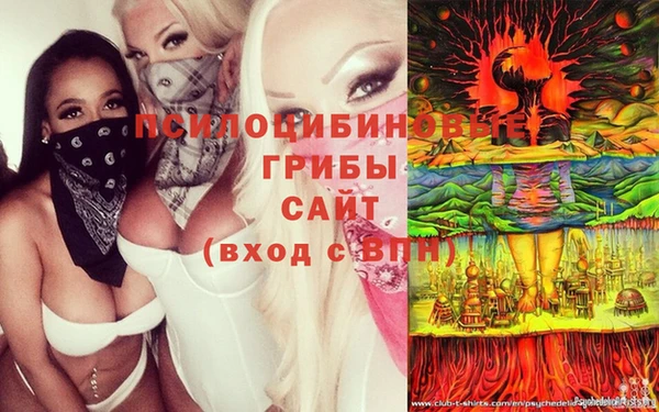 винт Нягань
