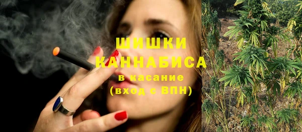 мдпв Няндома