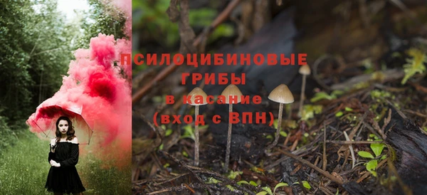 винт Нягань